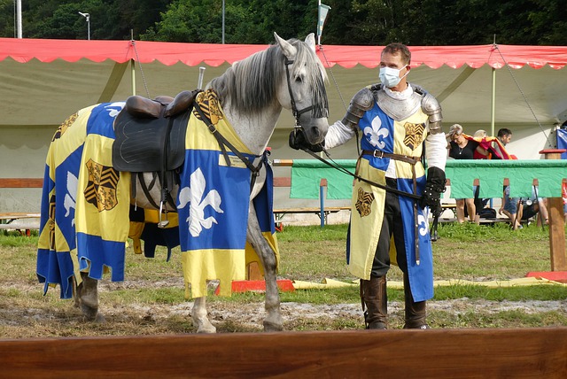 了统治力 了统治力