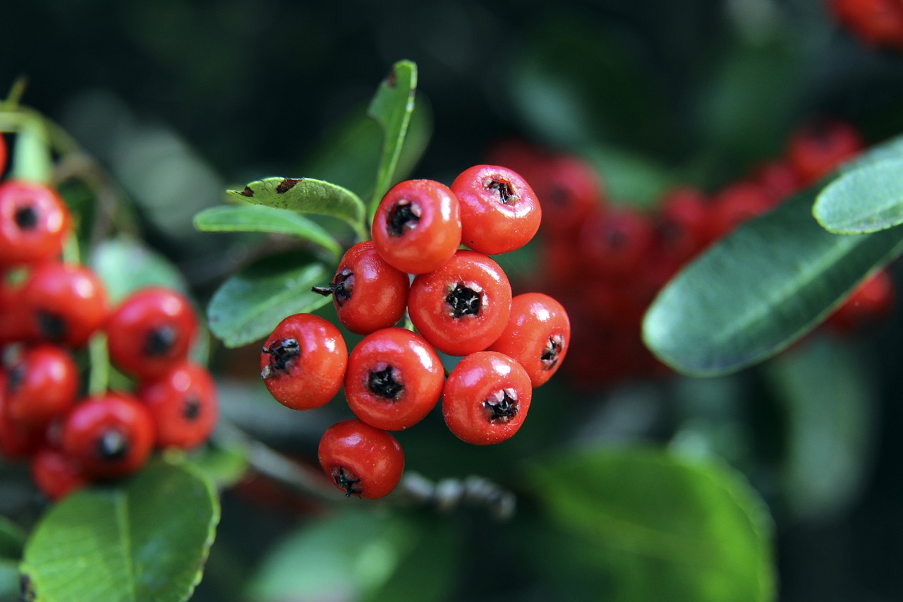 队重新跻身 队重新跻身