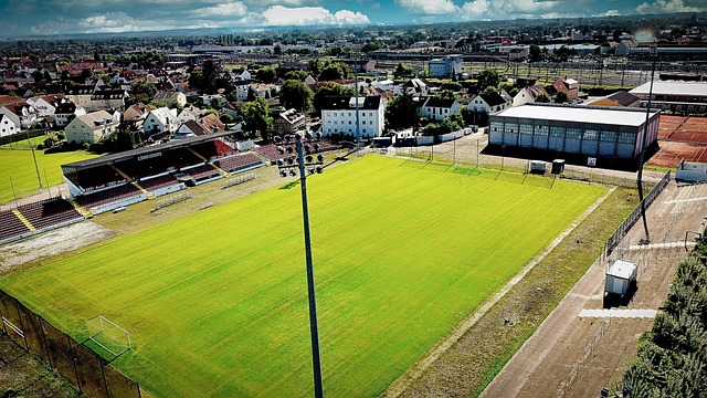 队的核心战 队的核心战