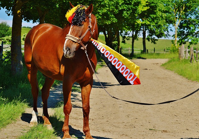 足球运动员 足球运动员